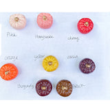Tiny Pick-Your-Own-Pumpkin Set