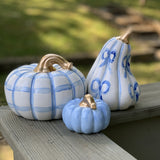 Pink or Blue Bow Gourd