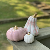 Pink or Blue Bow Gourd