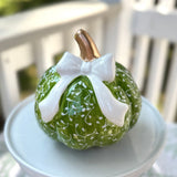 Bow Pumpkin #14
