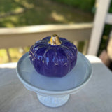 Dark Purple Medium Pumpkin