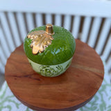 Acorn Jars
