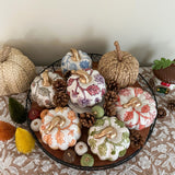 Harvest Pumpkins