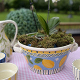 Small Lemon Beverage Tub