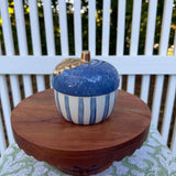 Acorn Jars