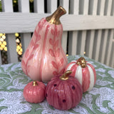 Pumpkin Set #17