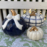 Pumpkin Set #29