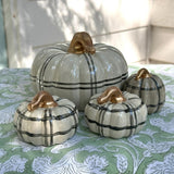 Pumpkin Set #9
