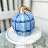 Small Pumpkin #62