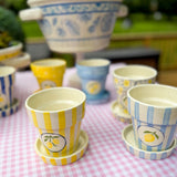 Lemon Flower Pots