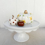 Yellow Floral Brown Polka Dot Pumpkin Set