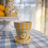 Lemon Flower Pots