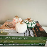 Build Your Own Small Pumpkin Set